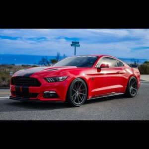 Meet your Posher, Mikey